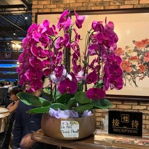 Meet your Posher, Binh